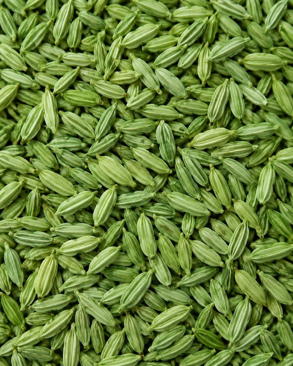 Fennel