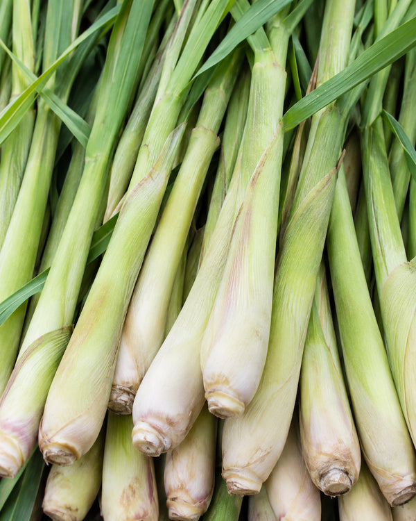 Lemongrass